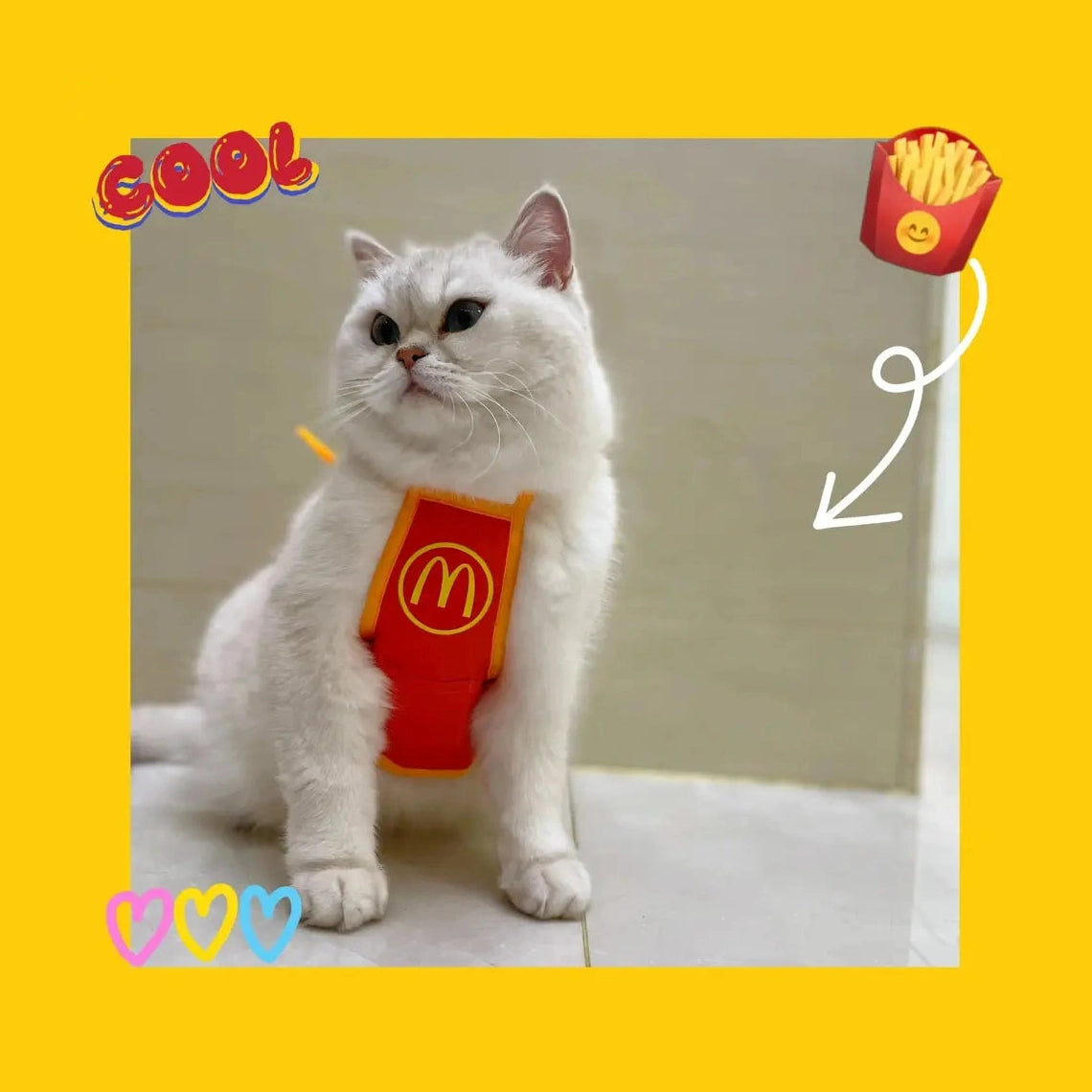 Burger and Apron Set for Dogs and Cats-Furever Adorable