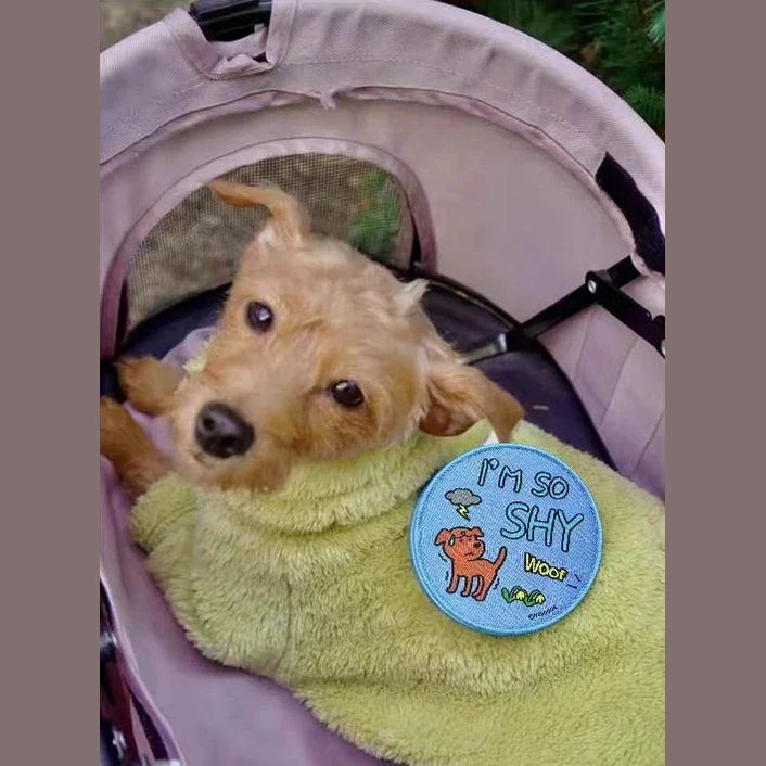 Cute Companion Adhesive Patches: Pet Character Social Stickers Furever Adorable