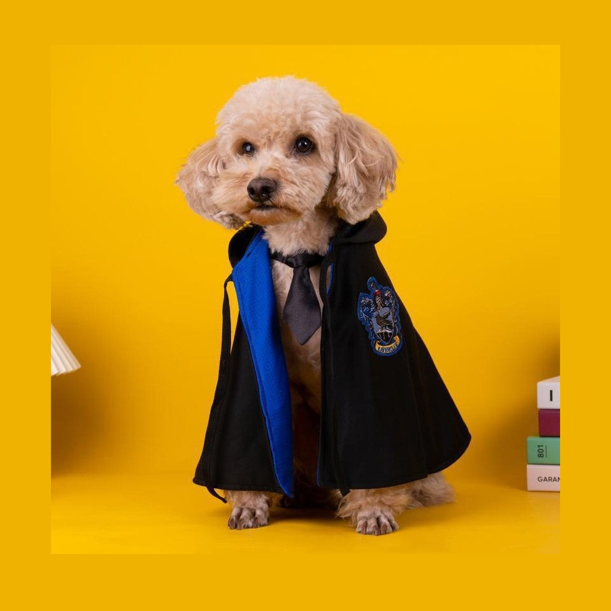 Pet Costume - Academy of Magic Cape-Furever Adorable