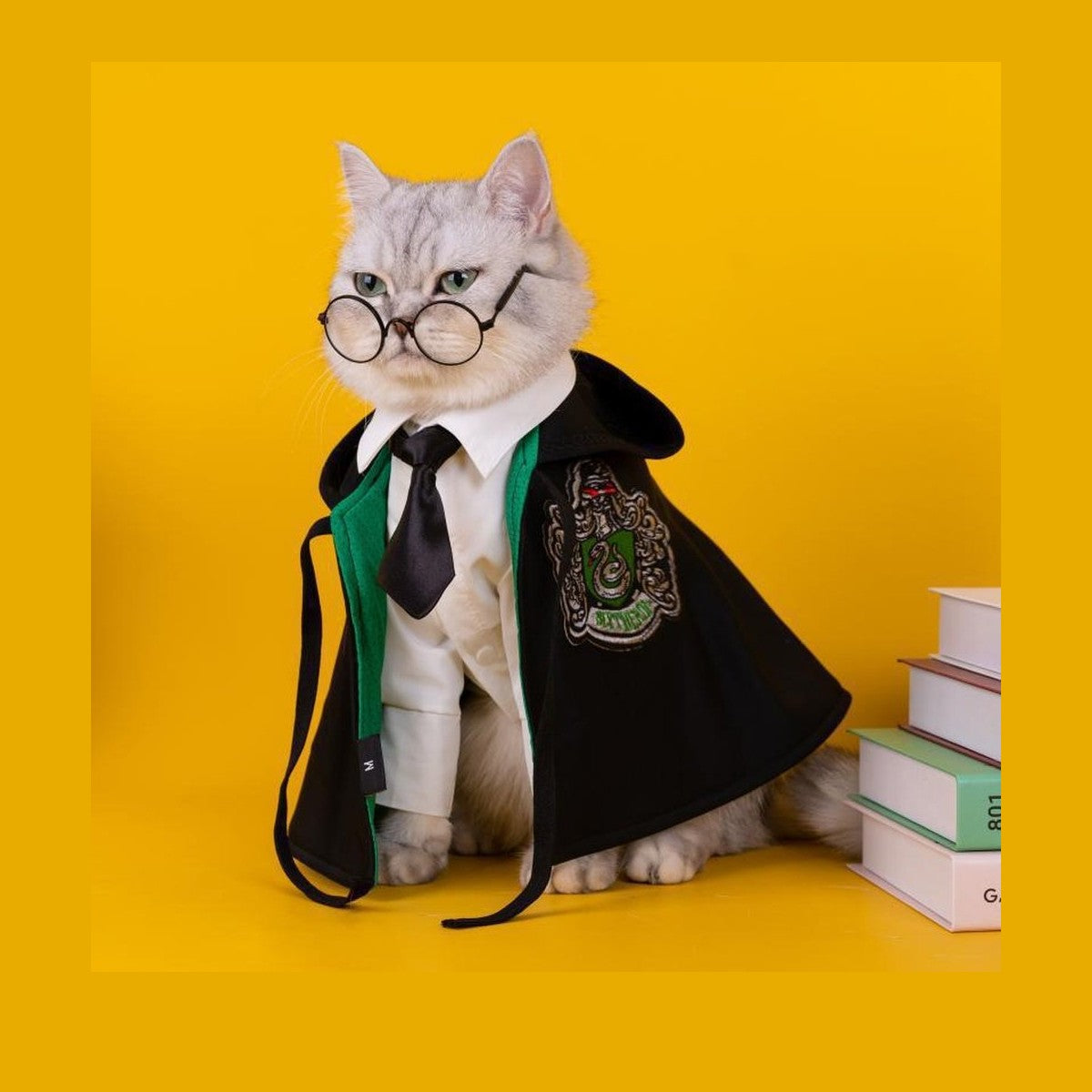 Pet Costume - Academy of Magic Cape-Furever Adorable