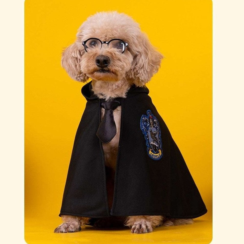 Pet Costume - Academy of Magic Cape-Furever Adorable