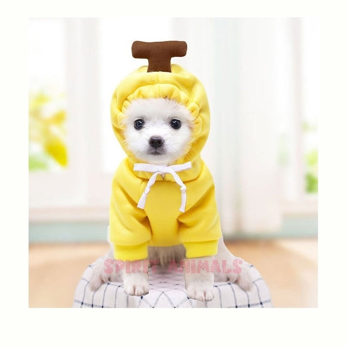 Pet Costume - Banana-Furever Adorable
