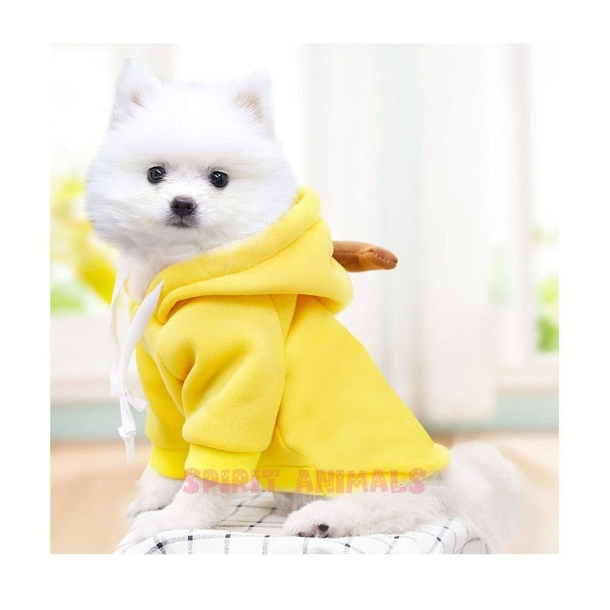 Pet Costume - Banana-Furever Adorable