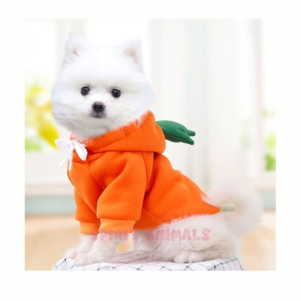 Pet Costume - Carrot-Furever Adorable
