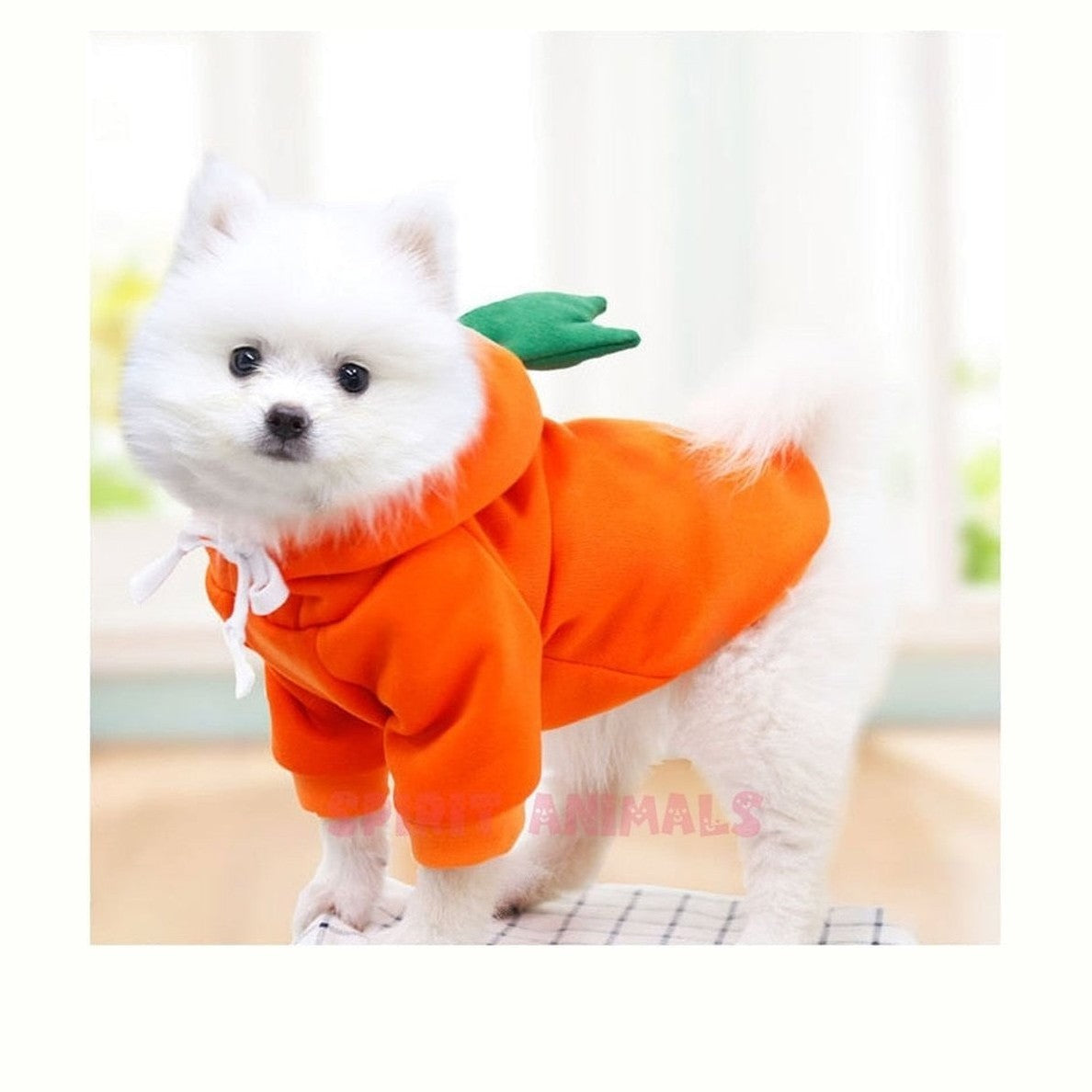 Pet Costume - Carrot-Furever Adorable