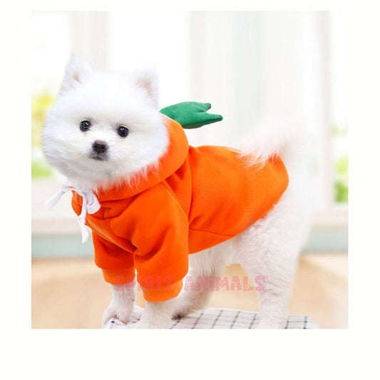 Pet Costume - Carrot-Furever Adorable