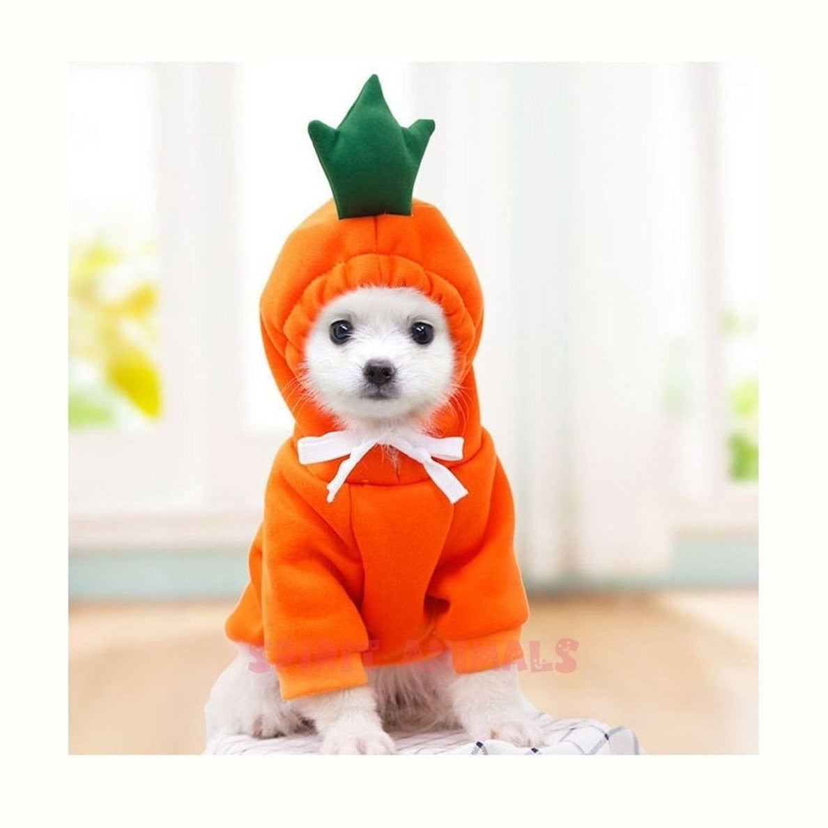 Pet Costume - Carrot-Furever Adorable