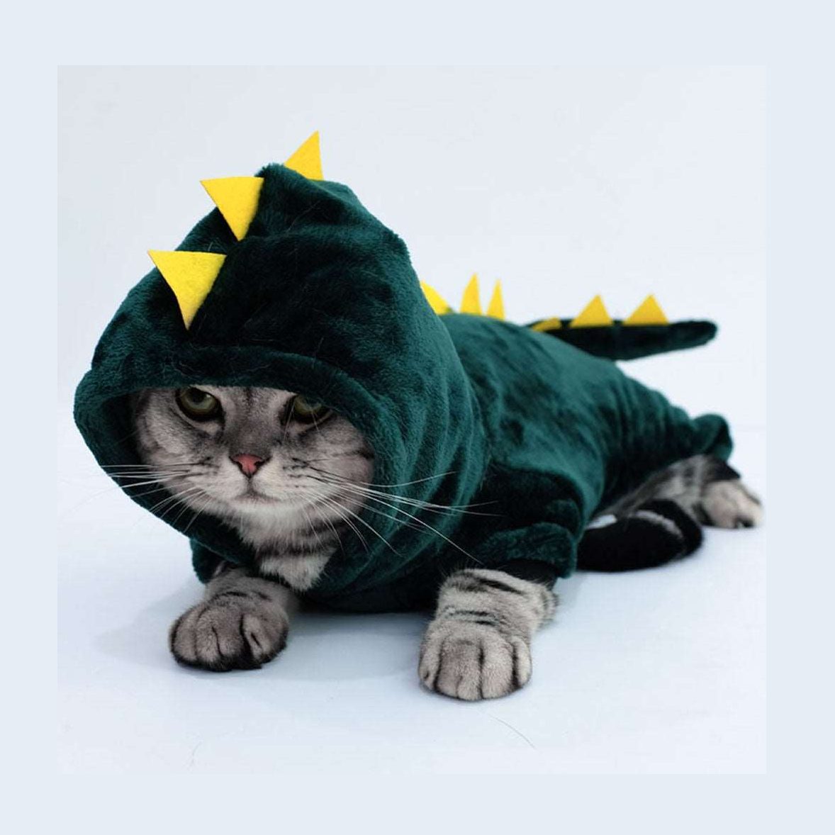 Pet Costume - Dinosaur-Furever Adorable