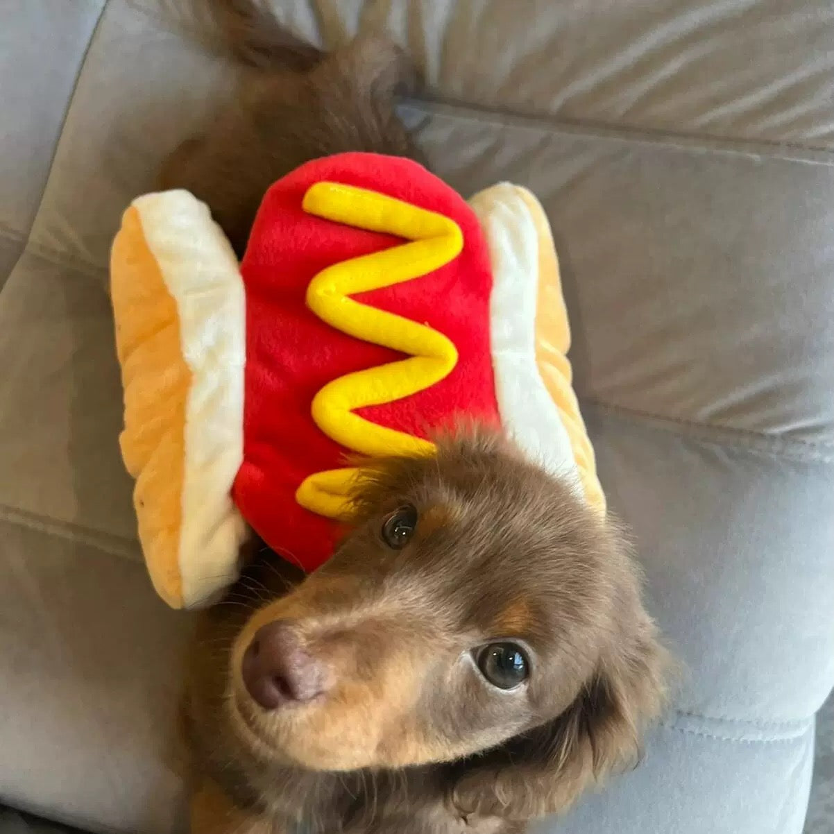 Pet Costume - Hotdog Furever Adorable