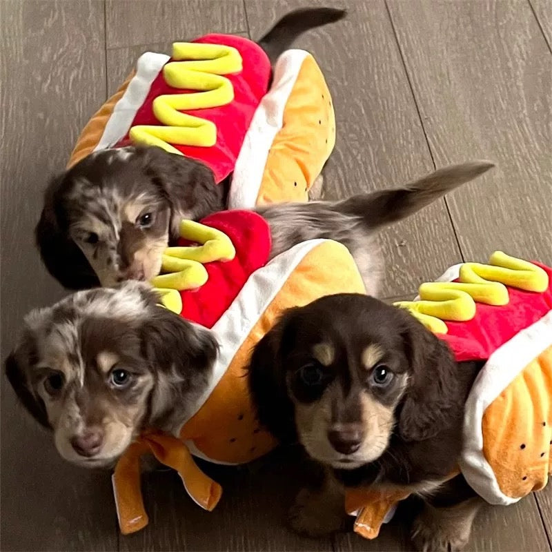 Pet Costume - Hotdog Furever Adorable