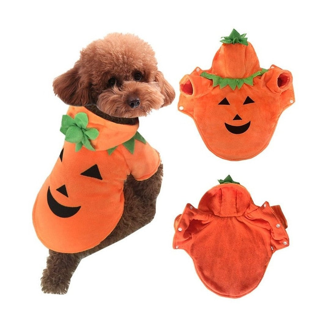 Pet Costume - Pumpkin-Furever Adorable