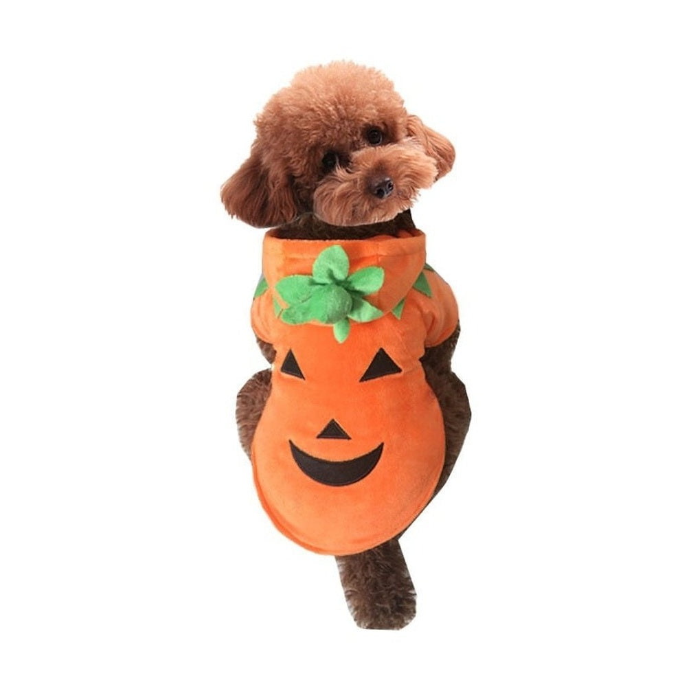 Pet Costume - Pumpkin-Furever Adorable