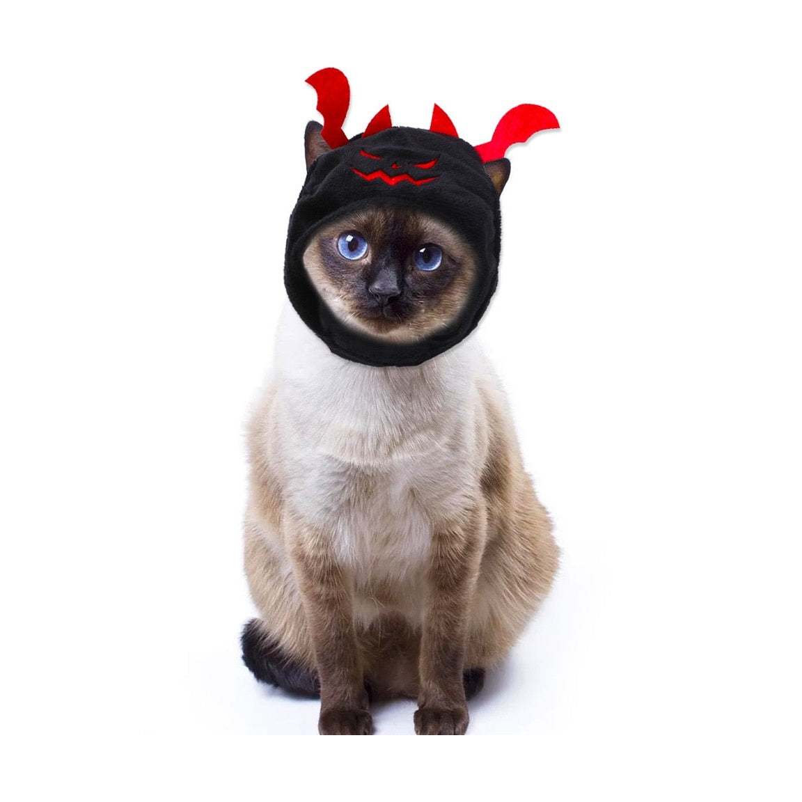 Pet Costume - Pumpkin Headgear-Furever Adorable