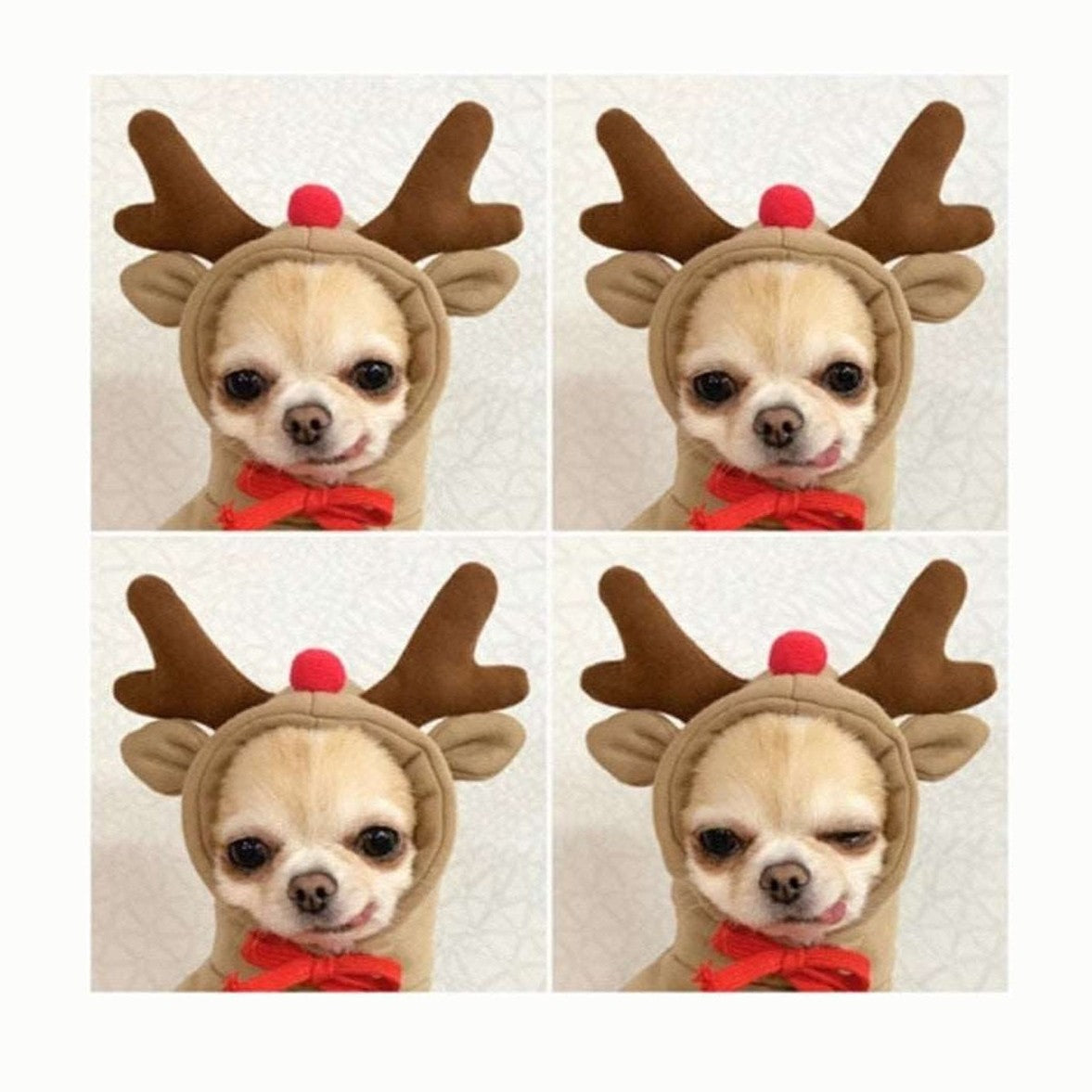 Pet Costume - Reindeer-Furever Adorable