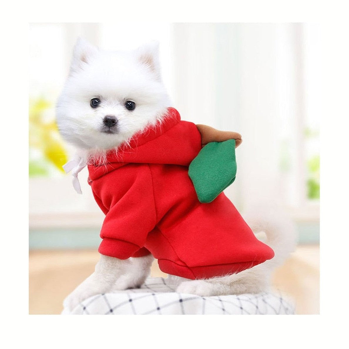 Pet Outfit - Apple-Furever Adorable