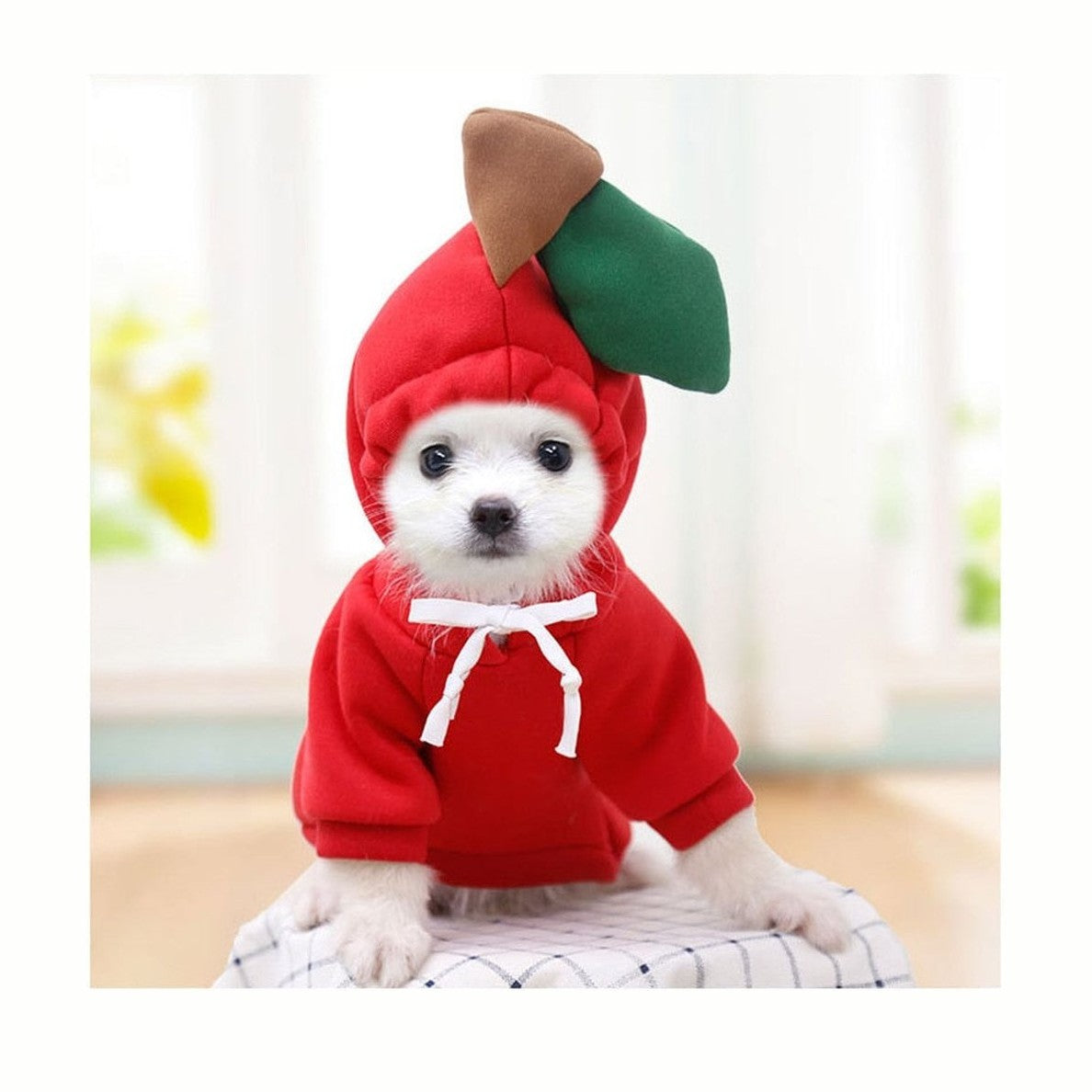 Pet Outfit - Apple-Furever Adorable