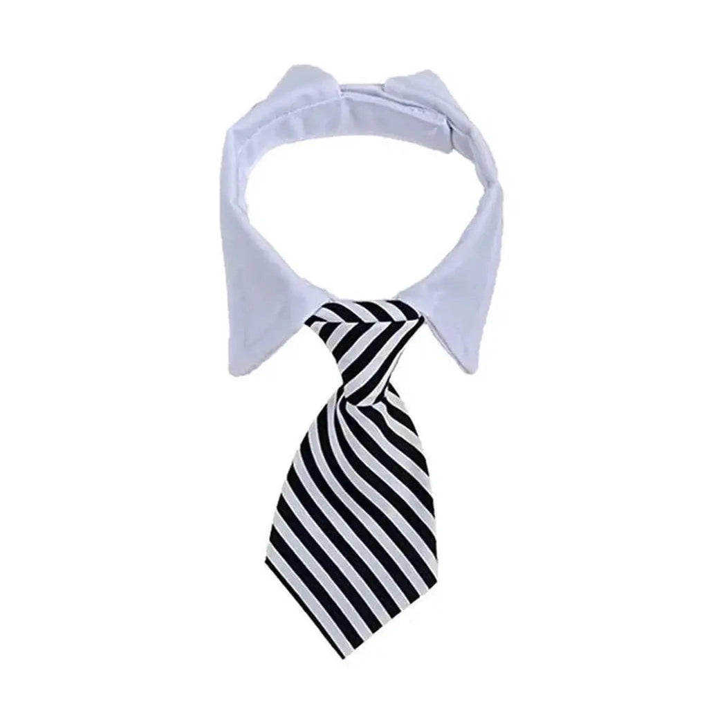 Striped Bow Tie Collar for Kitten and Puppies-Furever Adorable