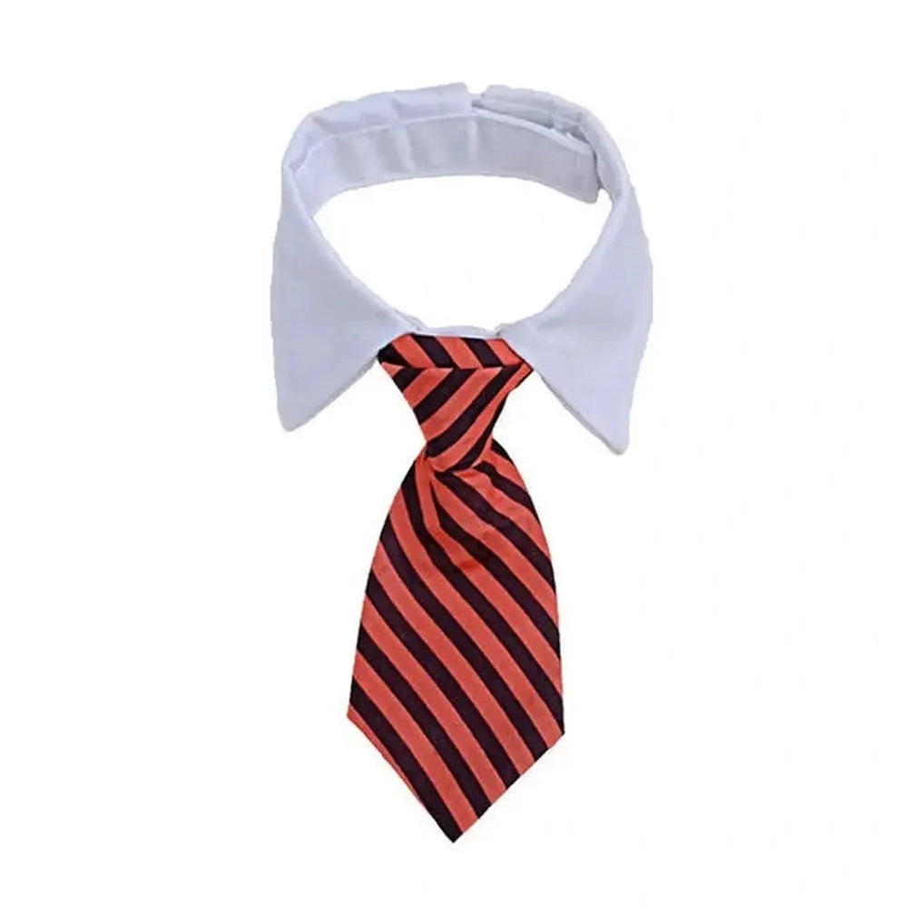 Striped Bow Tie Collar for Kitten and Puppies-Furever Adorable