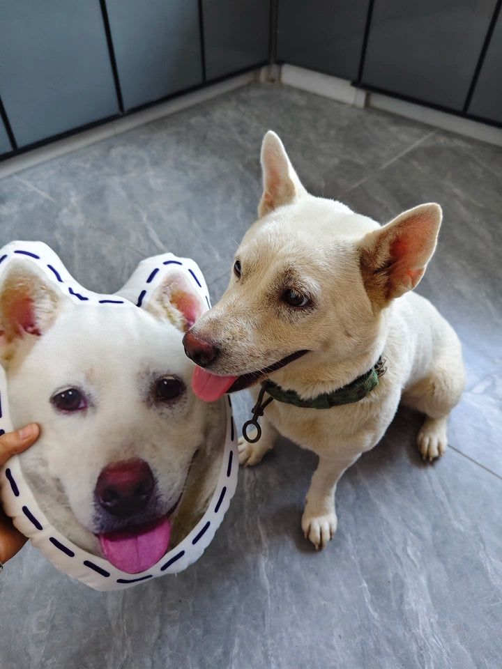 Custom Pet Photo Pillow: Hug Your Furry Best Friend! Furever Adorable