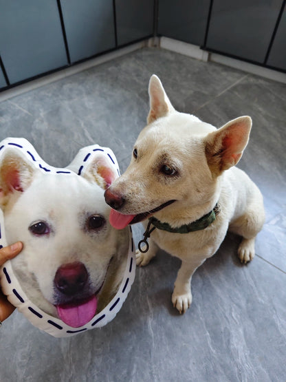 Custom Pet Photo Pillow: Hug Your Furry Best Friend! Furever Adorable