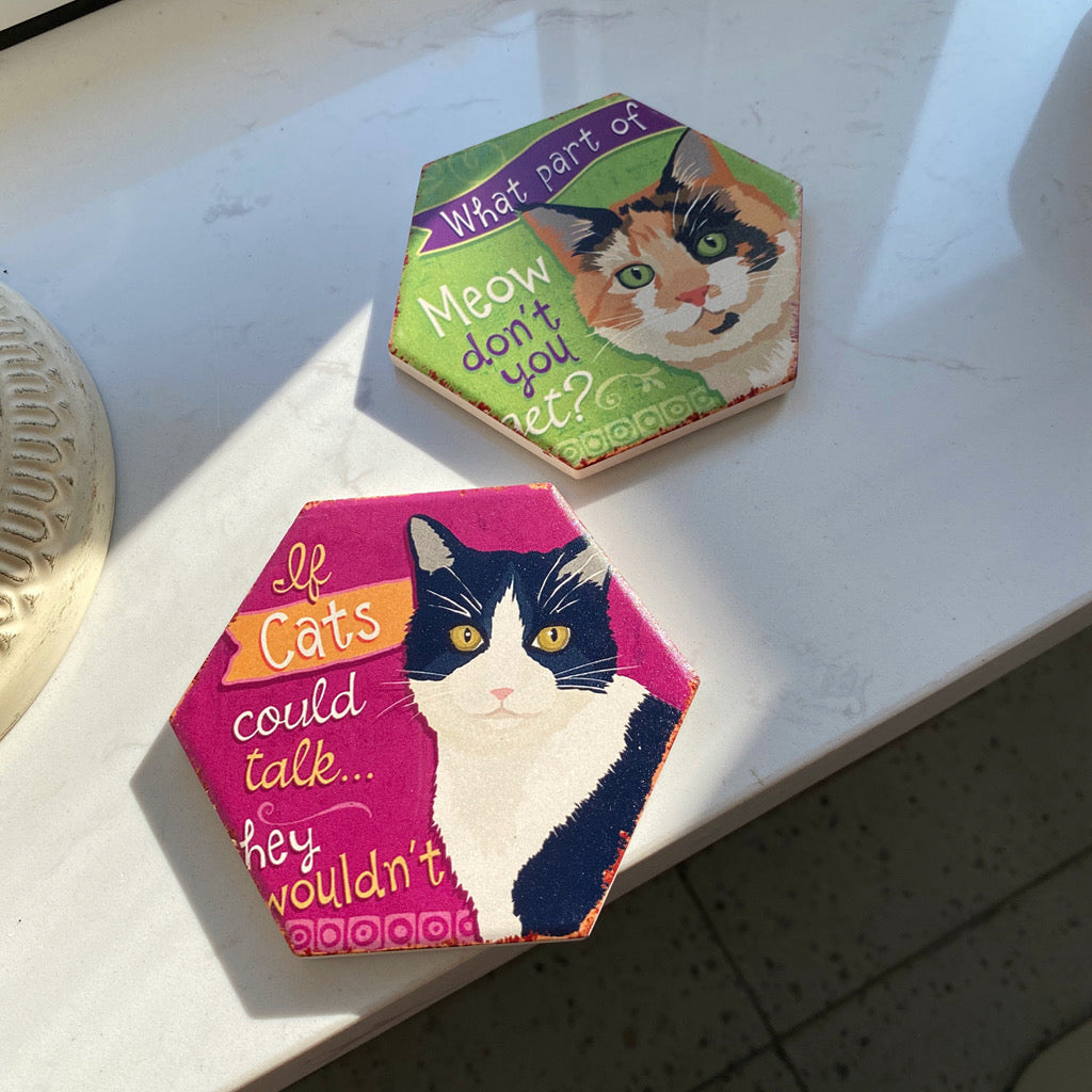 Funny cat coaster-Furever Adorable