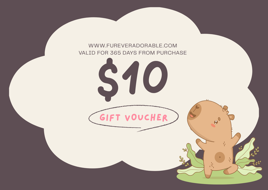 Gift voucher for $10 with a cartoon hippo on a dark background