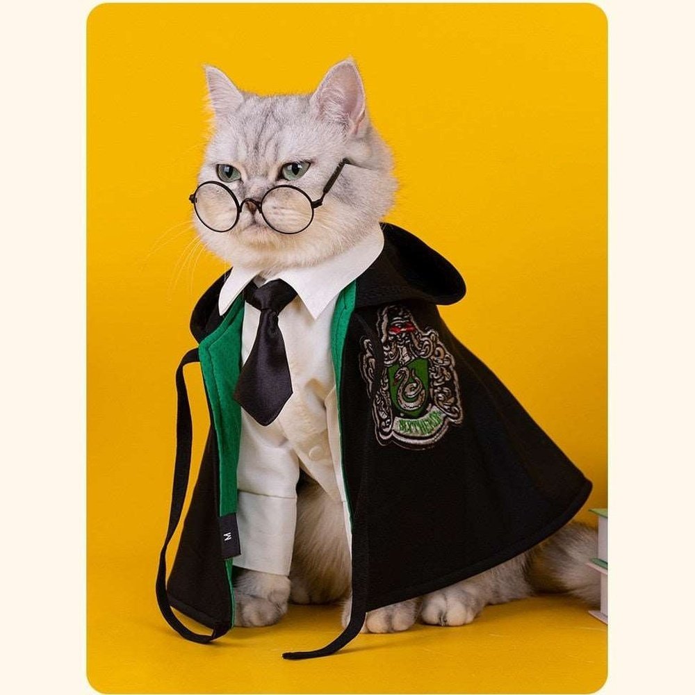 Pet Costume - Academy of Magic Cape-Furever Adorable