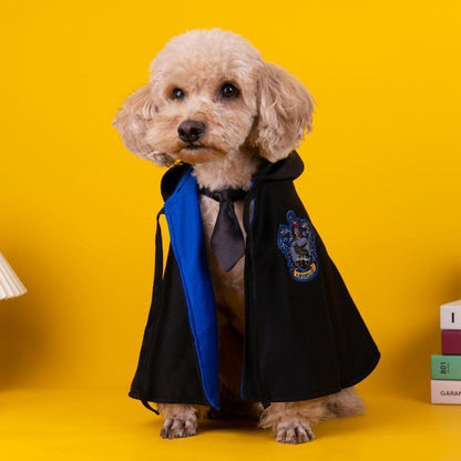 Pet Costume - Academy of Magic Cape-Furever Adorable