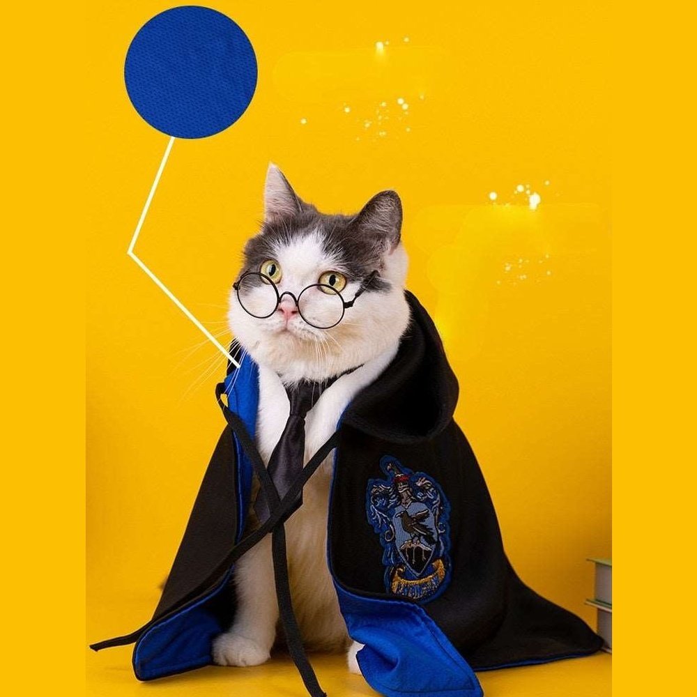 Pet Costume - Academy of Magic Cape-Furever Adorable