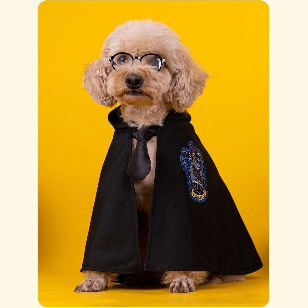 Pet Costume - Academy of Magic Cape-Furever Adorable