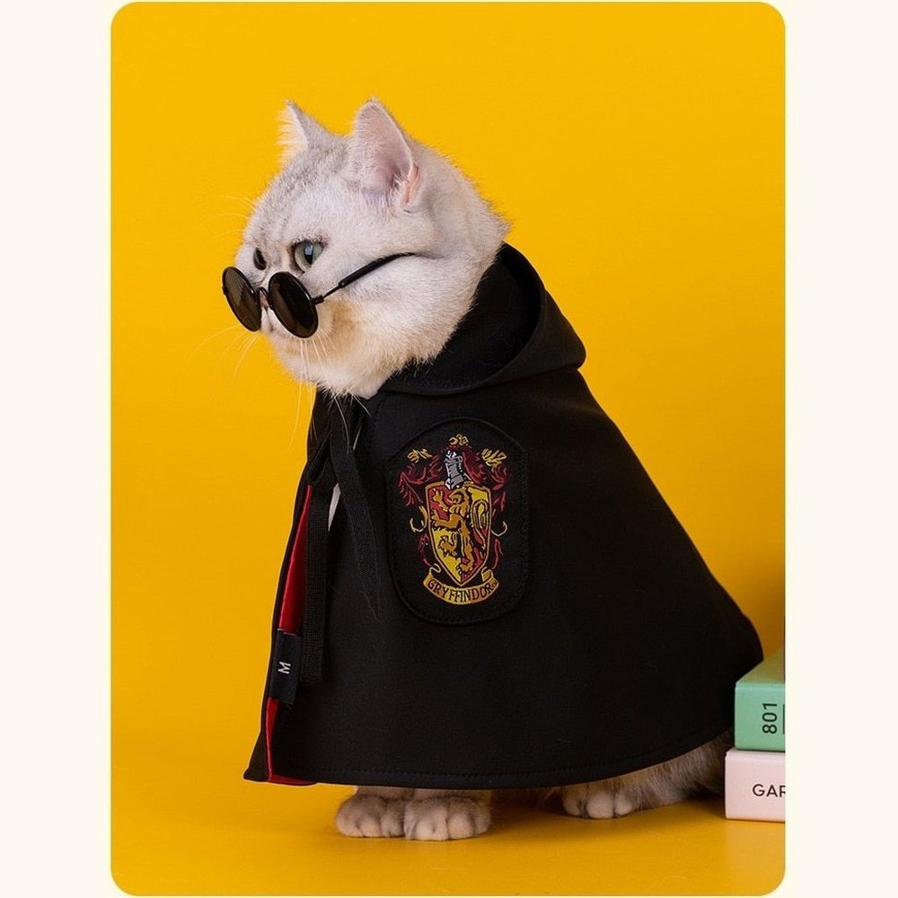 Pet Costume - Academy of Magic Cape-Furever Adorable