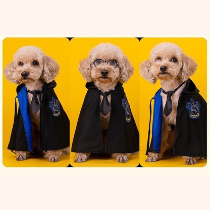 Pet Costume - Academy of Magic Cape-Furever Adorable