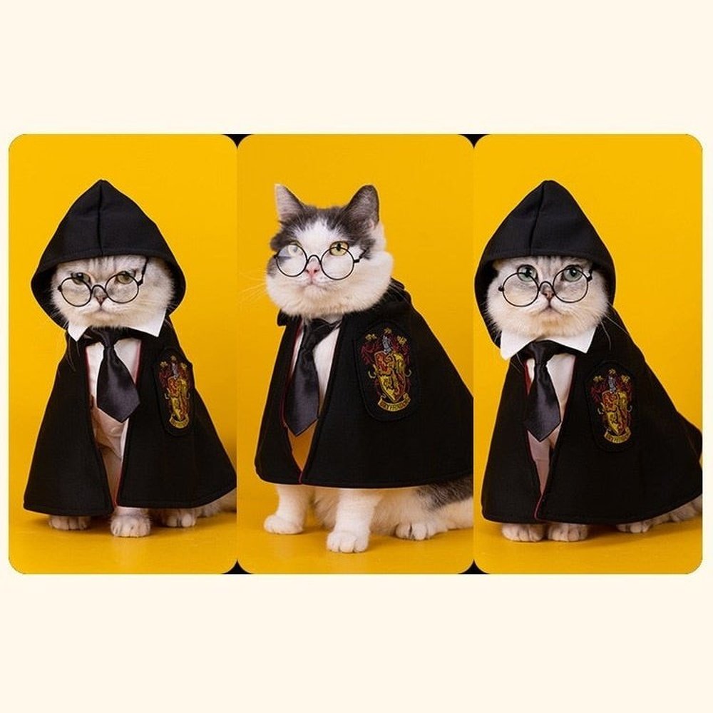 Pet Costume - Academy of Magic Cape-Furever Adorable