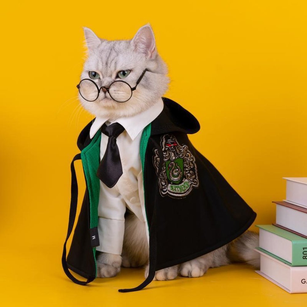 Pet Costume - Academy of Magic Cape-Furever Adorable