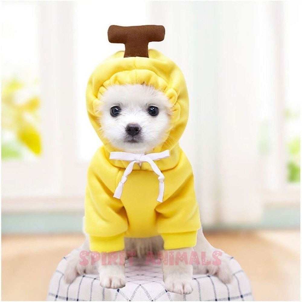 Pet Costume - Banana-Furever Adorable