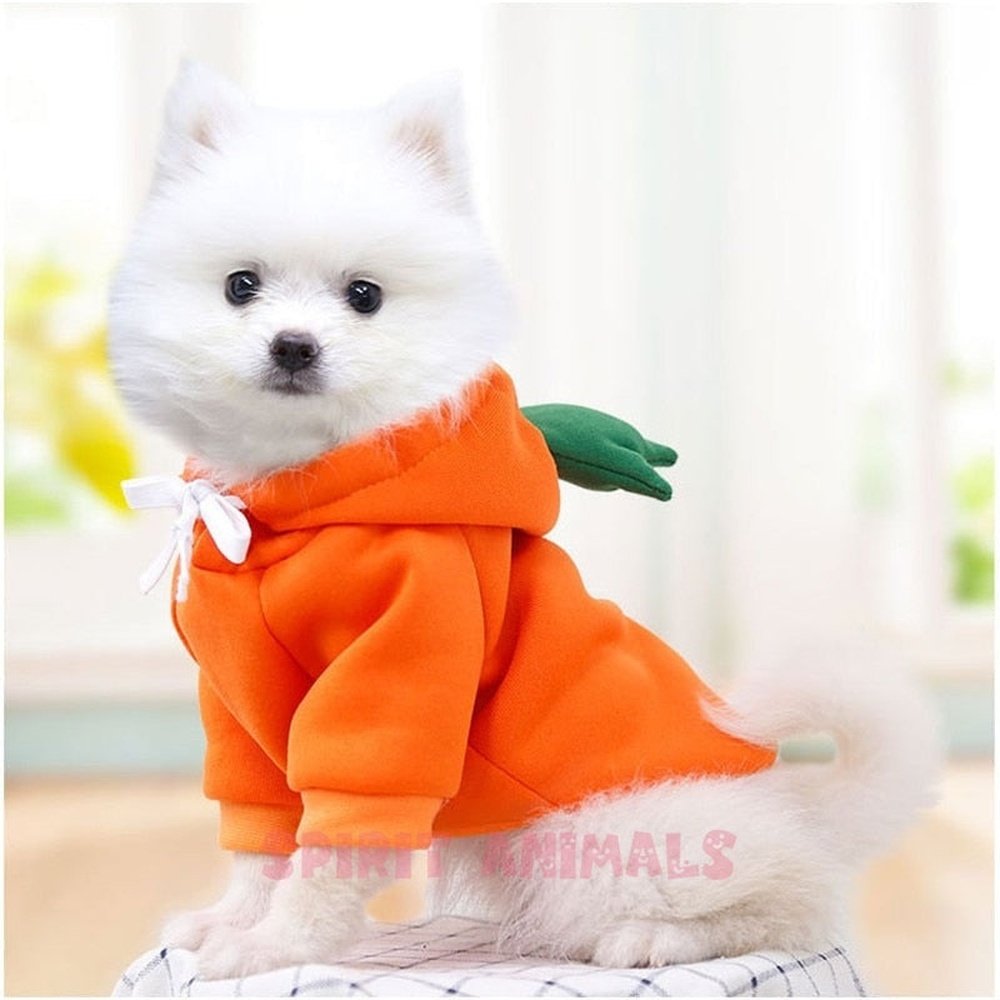 Pet Costume - Carrot-Furever Adorable