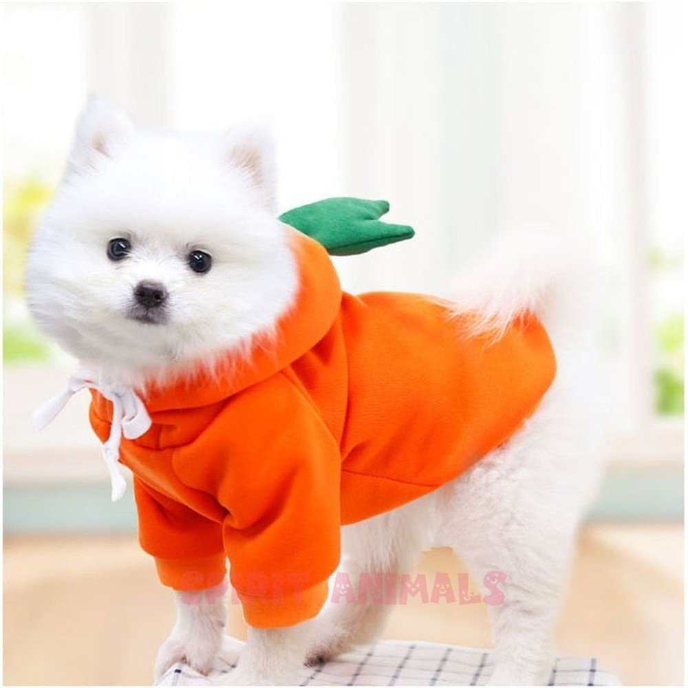 Pet Costume - Carrot-Furever Adorable