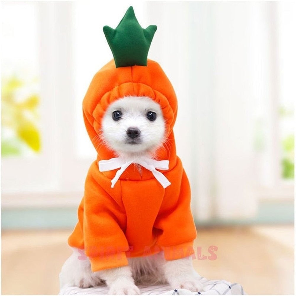 Pet Costume - Carrot-Furever Adorable