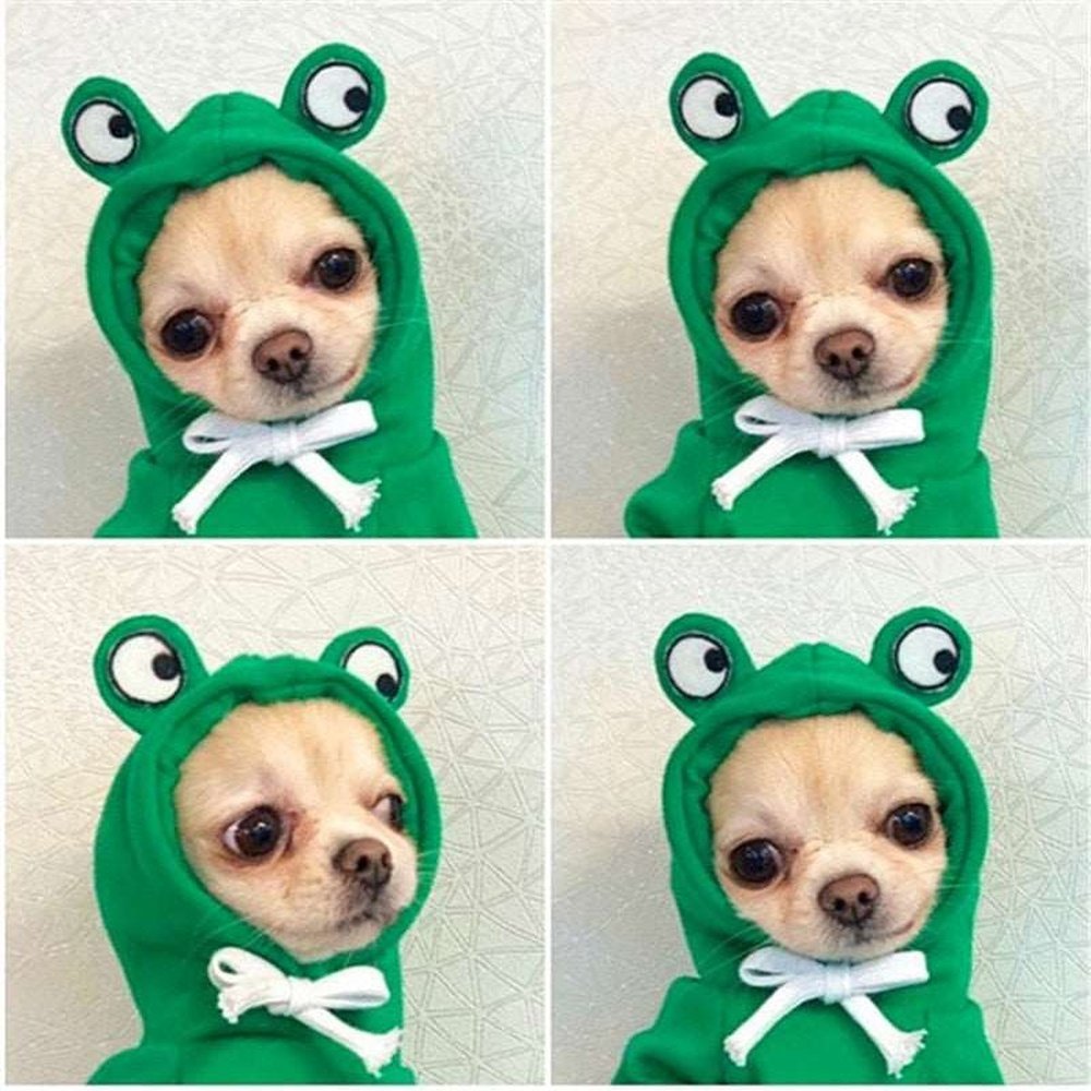 Pet Costume - Frog-Furever Adorable