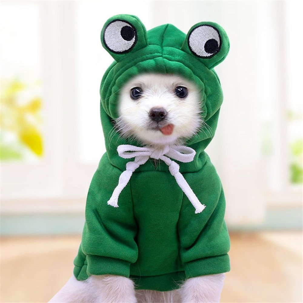 Pet Costume - Frog-Furever Adorable