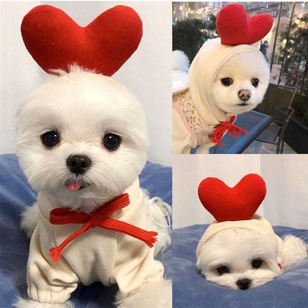 Pet Costume - Heart-Furever Adorable