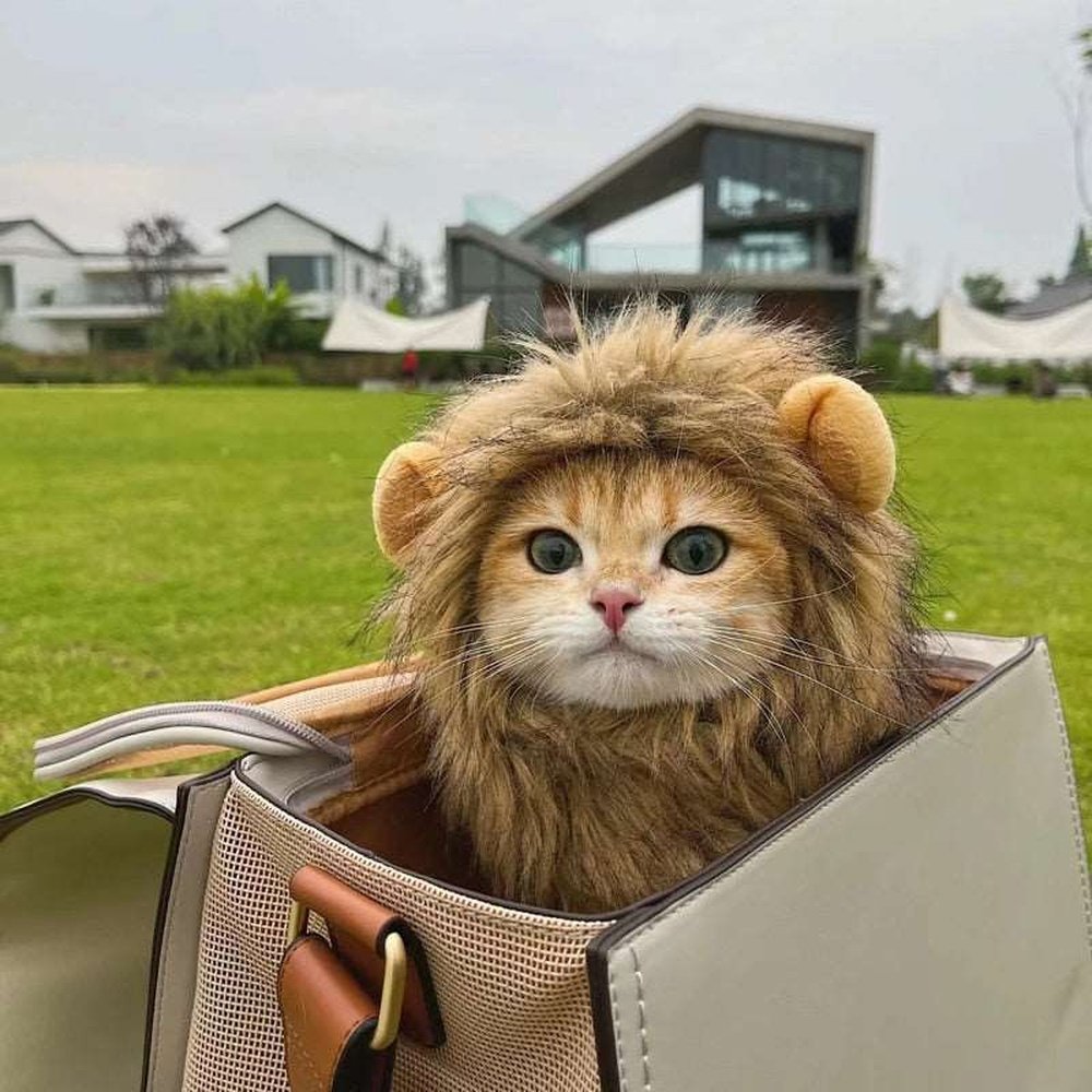 Pet Costume - Lion Mane Cat Wig Hat-Furever Adorable