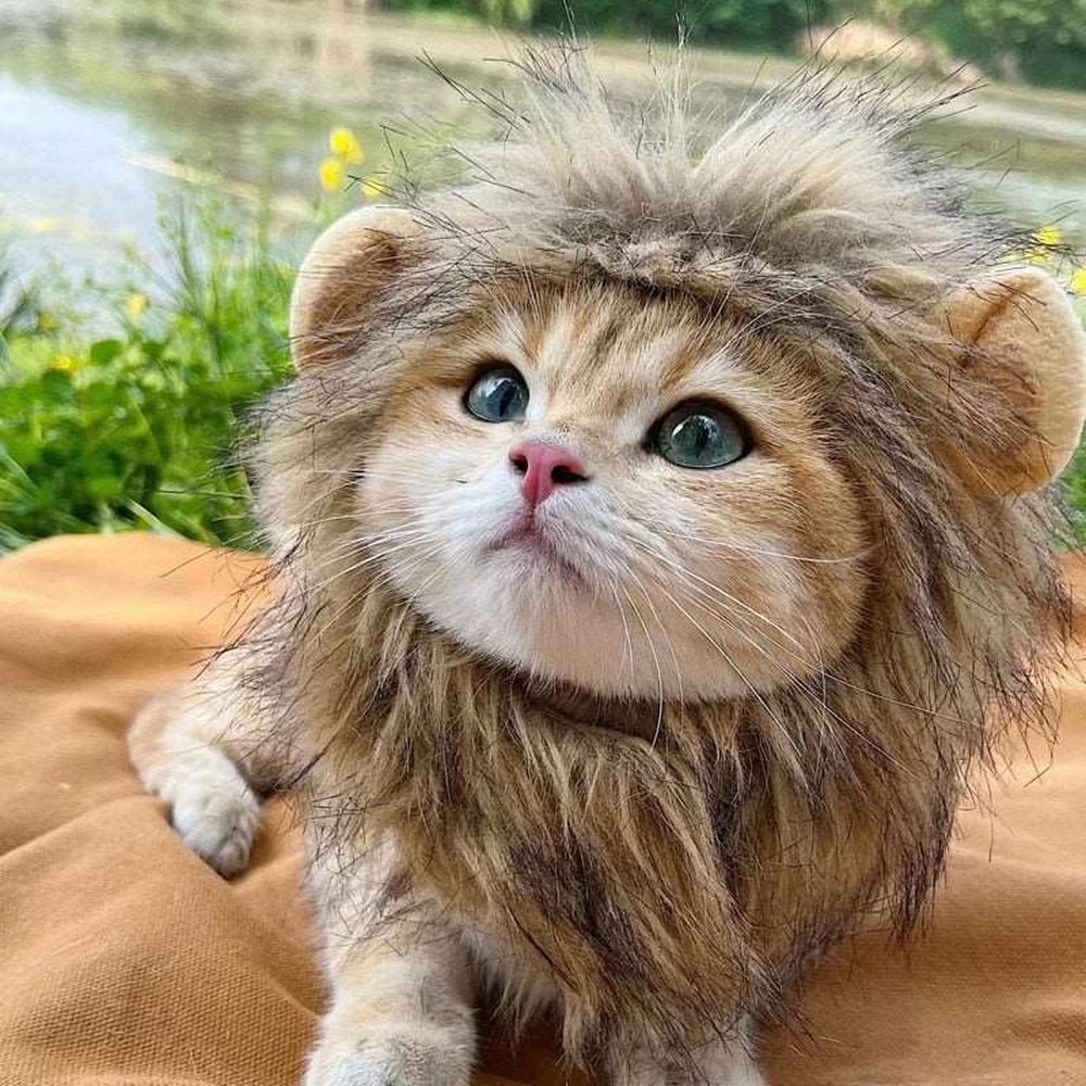 Pet Costume - Lion Mane Cat Wig Hat-Furever Adorable