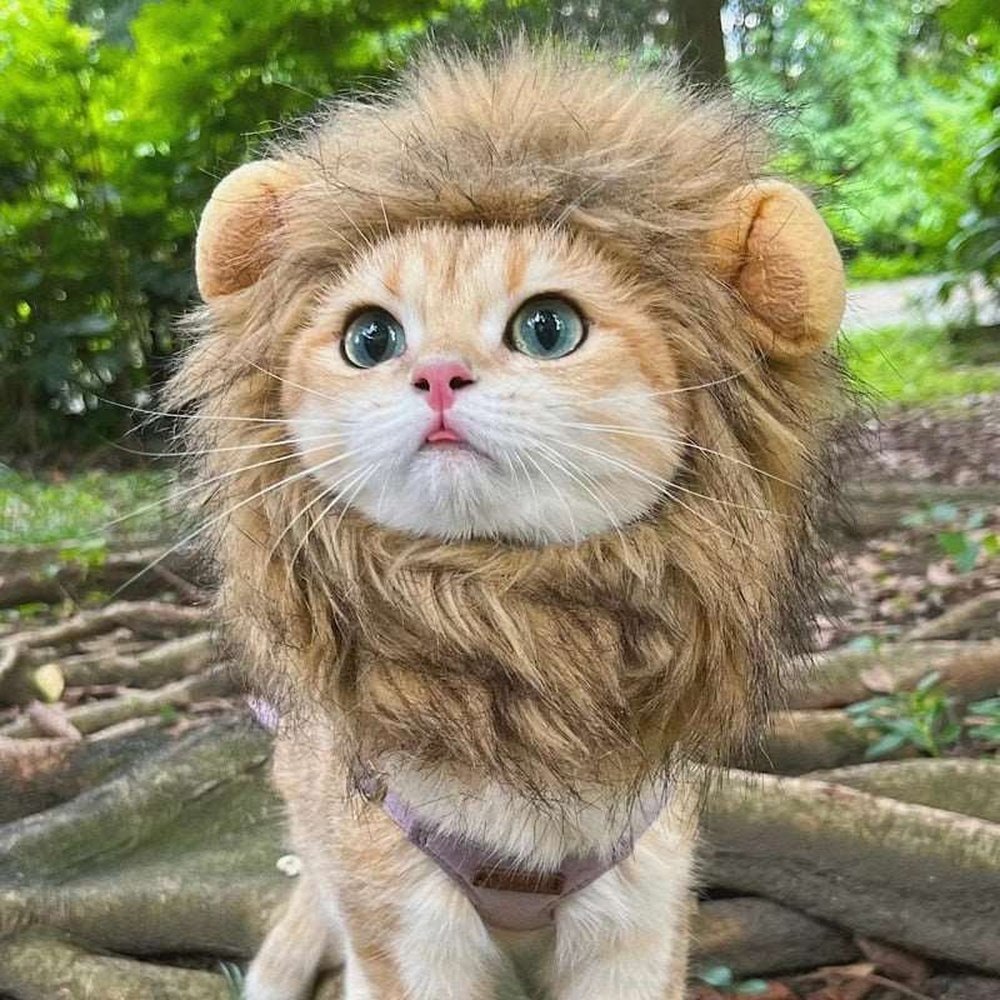 Pet Costume - Lion Mane Cat Wig Hat-Furever Adorable