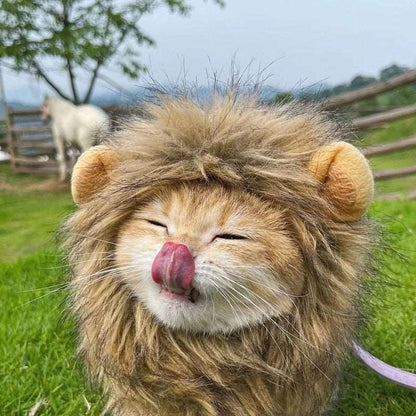 Pet Costume - Lion Mane Cat Wig Hat-Furever Adorable