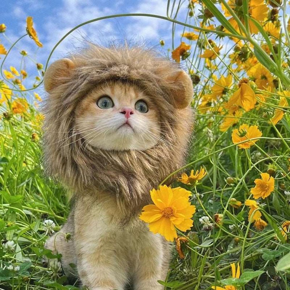 Pet Costume - Lion Mane Cat Wig Hat-Furever Adorable