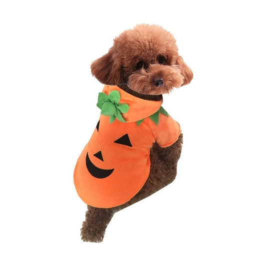 Pet Costume - Pumpkin-Furever Adorable