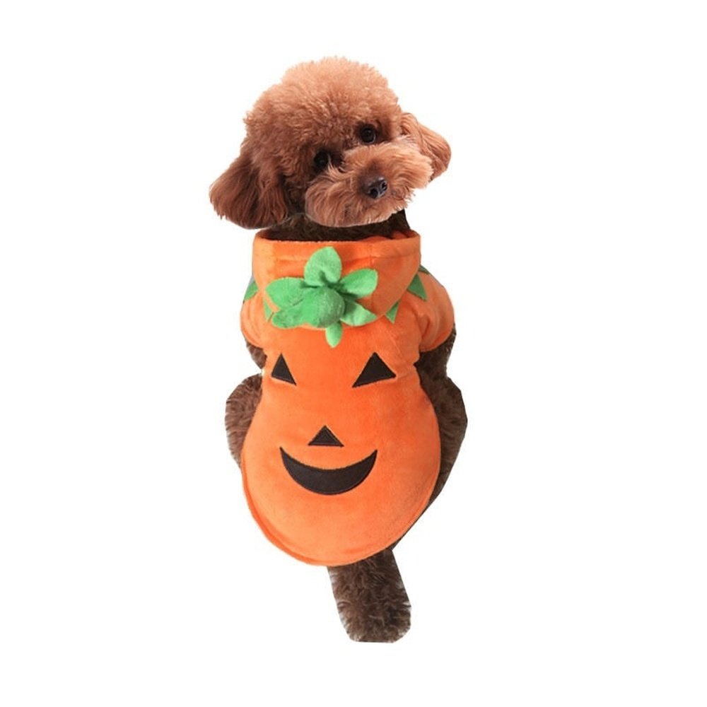 Pet Costume - Pumpkin-Furever Adorable