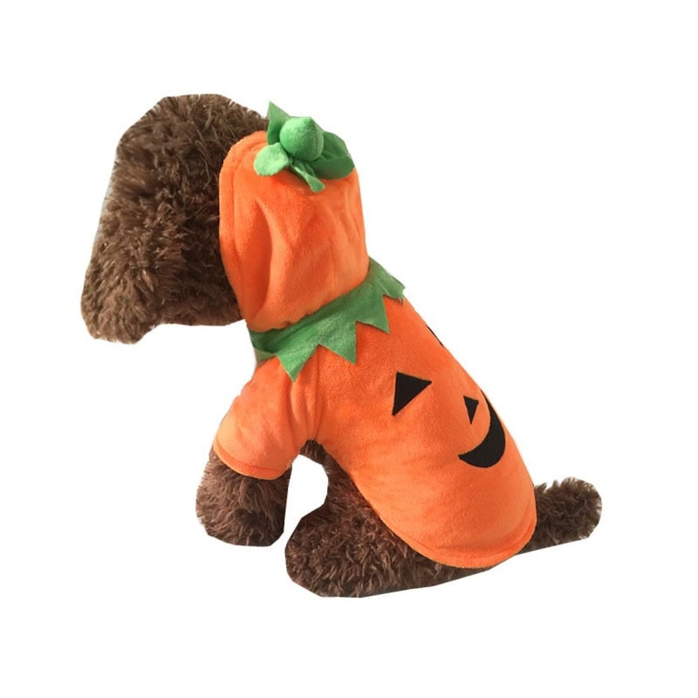 Pet Costume - Pumpkin-Furever Adorable