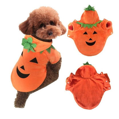 Pet Costume - Pumpkin-Furever Adorable